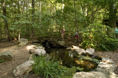 Trails to explore at the Annandale Community Park